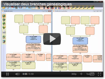 Visualiser 2 branches généalogiques