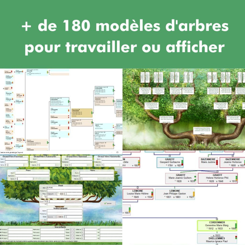 Mise à Jour Généatique 2025 Prestige en téléchargement